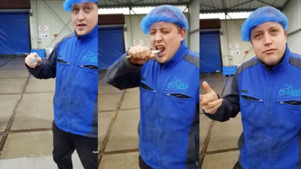 Een visje uit het vuistje kan alleen als 'ie kakelvers is