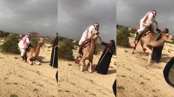 Arabier klimt na iets te zware lunch weer op zijn vervoermiddel