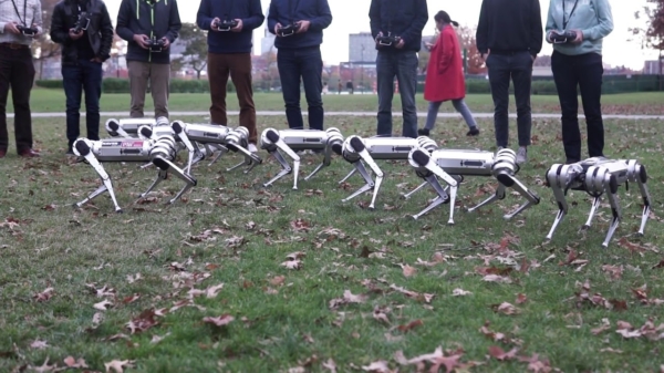 Even lekker buiten spelen met 9 robot-cheetahs