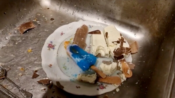 Jolanda doet schokkende ontdekking: deze ijsjes van de Aldi smelten niet!