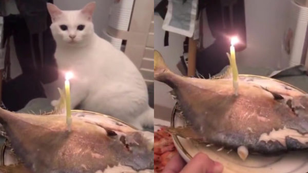 Mens, wat is er in vredesnaam mis met je?