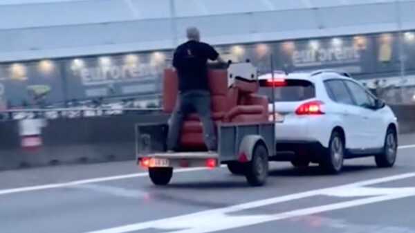 Belg staat rustig achterin een aanhangwagen om twee stoelen te vervoeren