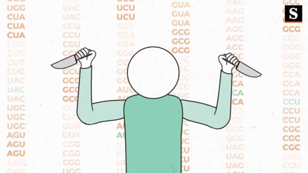 Waarom het geen goed idee is om nu een moord te plegen