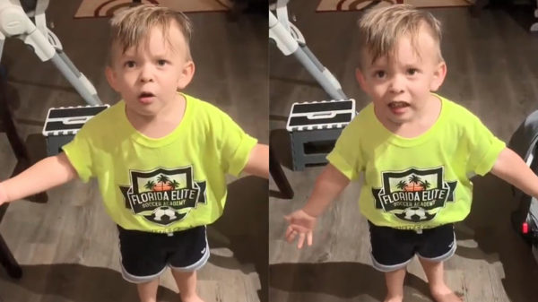 Koter is pislink omdat zijn moeder iets belangrijks is vergeten