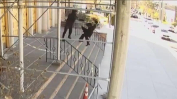 New Yorkse overvaller gooit 68-jarige vrouw van een trap af en steelt haar auto