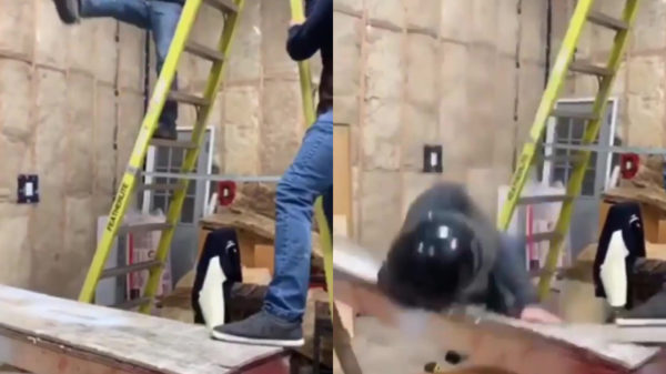 Bouwvakkers testen stevigheid van houten tafel