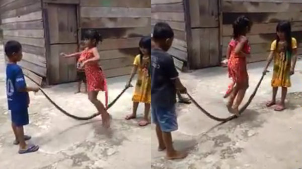 Wist je dat je prima kunt touwtjespringen met een dode slang?