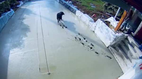 Verdomme Crowley, nu kan ik helemaal opnieuw beginnen