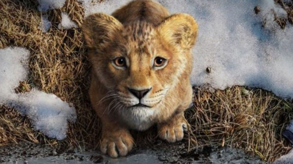 De teasertrailer voor Mufasa: The Lion King ziet er weer spectaculair uit