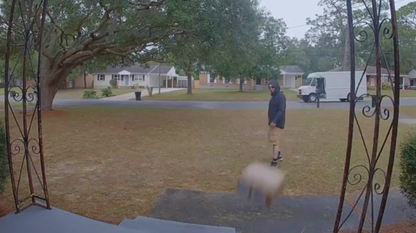 Hey, je peperdure zoomlens van 1500 dollar is binnen