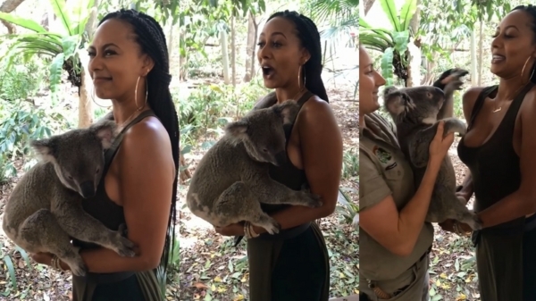 Zangeres Keri Hilson krijgt een warme verrassing als ze met een koala knuffelt