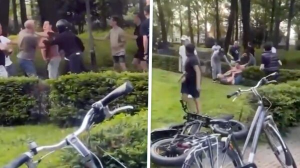 Groepje fatbike-pubers valt oudere man aan in een park van Sint Willebrord