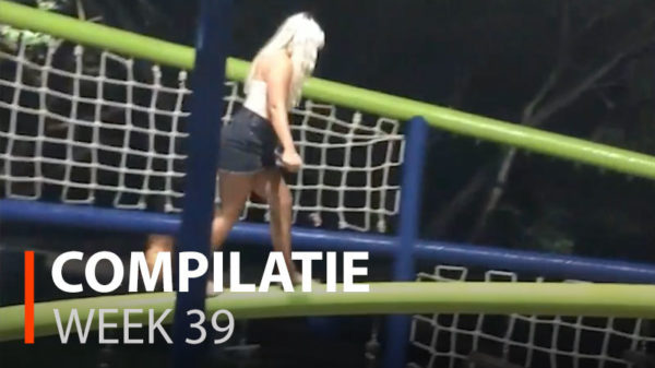 Alle fails van week 46 op een rij