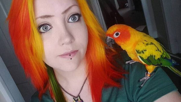 Heerlijke oogpr0n voor de echte OCD-ers onder ons