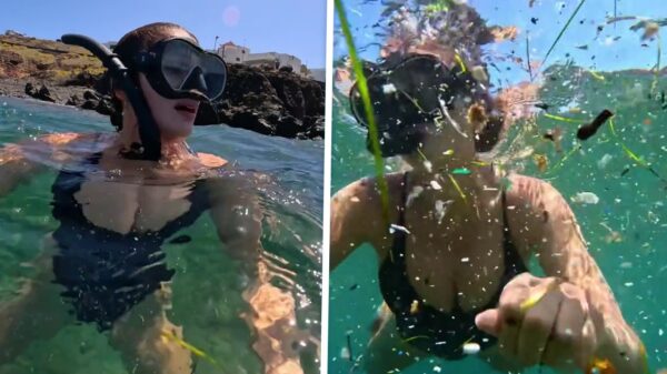 Snorkelen op de prachtige Canarische Eilanden valt toch behoorlijk tegen