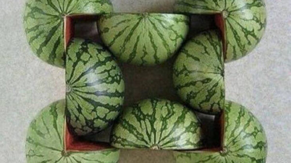 Wat visuele oogsnoeppr0n om even heerlijk tot rust te komen