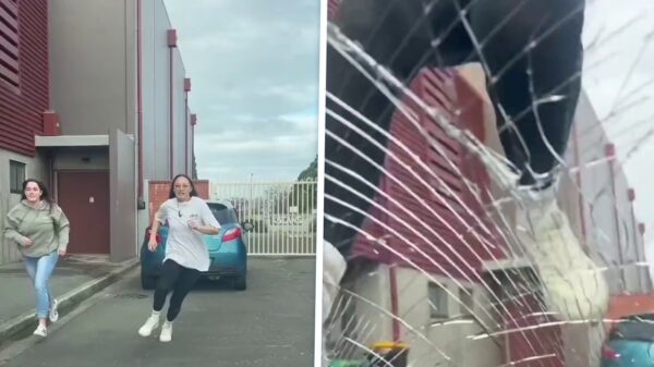 Vrouw verwoest voorruit met sprong op auto tijdens verkeersruzie in Nieuw-Zeeland