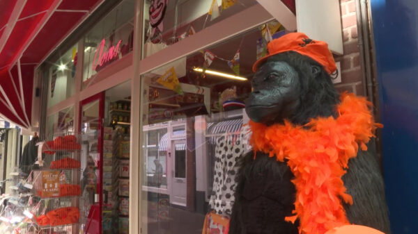 Eigenaar feestwinkel Hoorn met de dood bedreigd na ophef over "racistische" gorilla met hoofdband