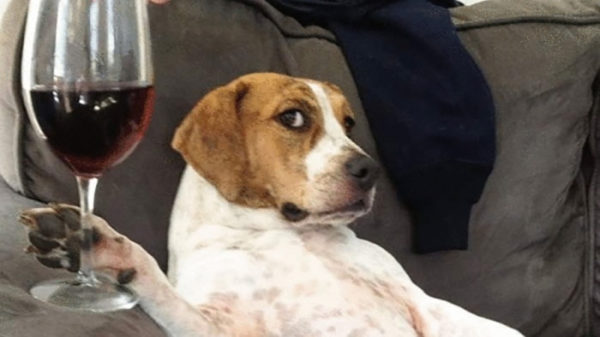 Hotssjeeeeéé het is weekend!