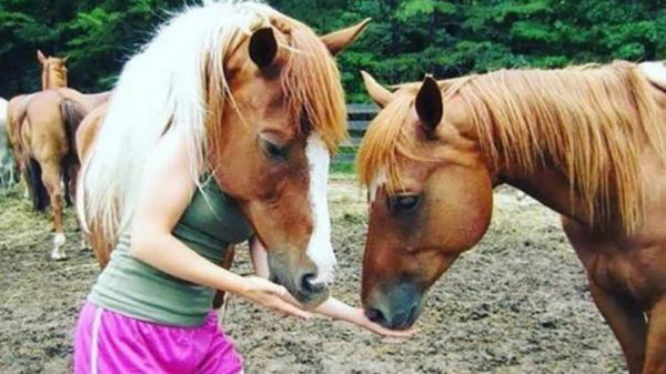 Een verzameling pics waar je minimaal twee keer naar moet kijken