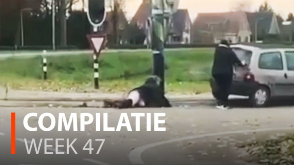 Alle fails van week 47 op een rij