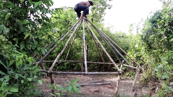 Goedemorgen: in de jungle overnachten doe je in dit 1-sterrenhotel