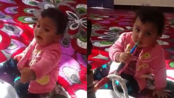 Vader van het jaar laat koter aan dikke waterpijp lurken