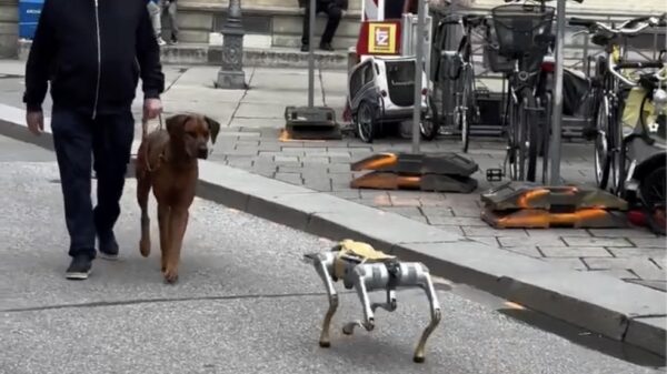 Hond ontdekt robothond in München