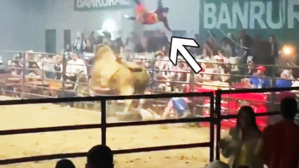 Stoere cowboy wordt het publiek in geslingerd door een opgefokte stier