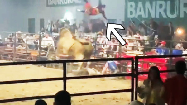 Stoere cowboy wordt het publiek in geslingerd door een opgefokte stier