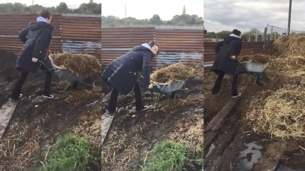 Moeder kijkt toe hoe dochter met een kruiwagen vol met mest worstelt