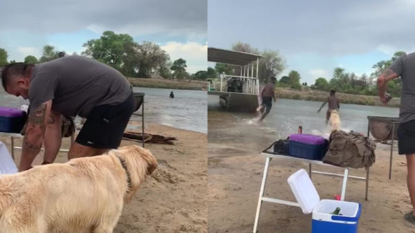 Hond heeft gewoon een enorme hekel aan indringers