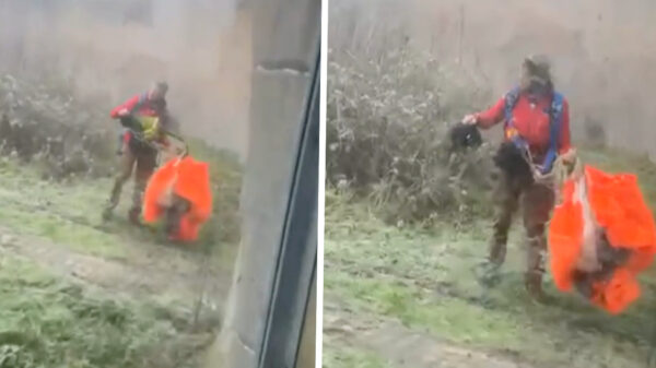 Foutje, bedankt: Parachutist belandt tussen de apen in Ouwehands Dierenpark