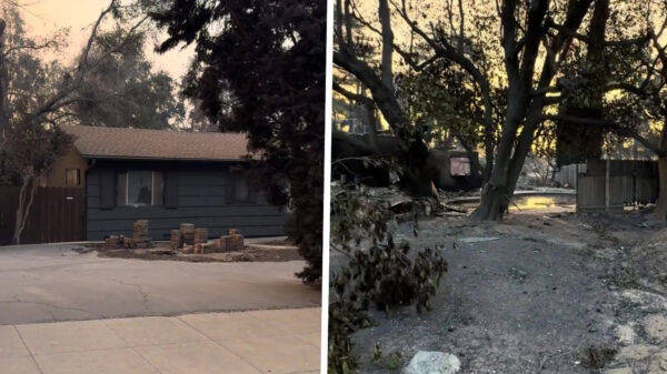 Californische man vindt z'n huis ongeschonden terug na verwoestende branden in LA