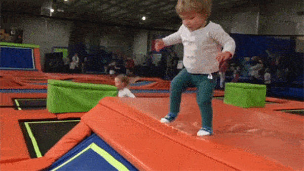 Gifdump: de schorpioenen-editie (2)