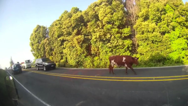 Sorry baas, ben iets later, stond in een loeier van een file