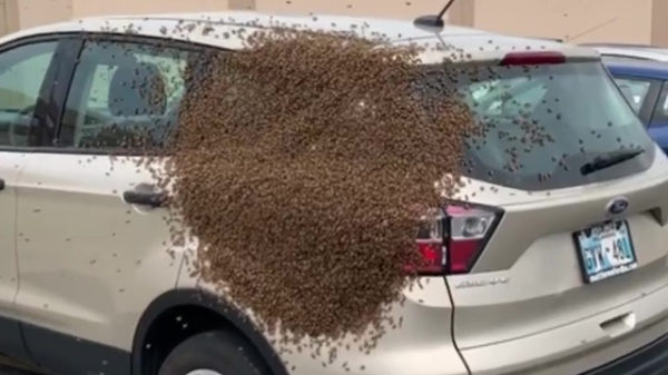 Weet je wat, ik neem de fiets wel