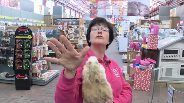 Deze vrouw doet echt álles voor een paar extra likes op social media