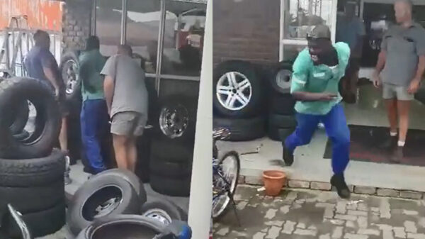 Je collega pesten die gruwelijk bang is voor slangen is altijd grappig