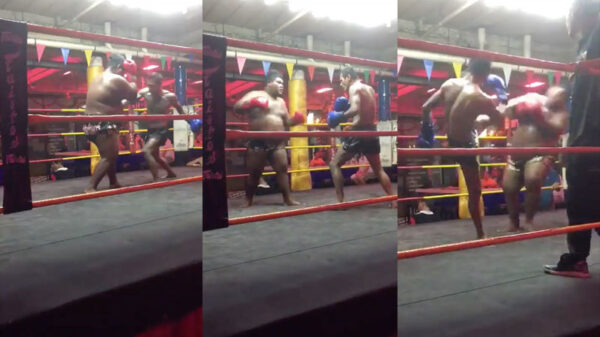 Muay Thai-vechter heeft een aantal prima high kicks in huis