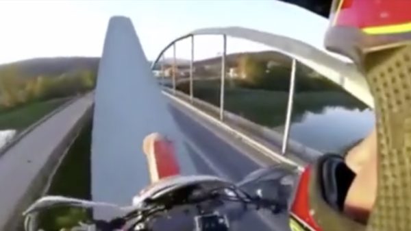 Sommige mensen hebben ballen van staal, anderen zijn gewoon niet zo snugger