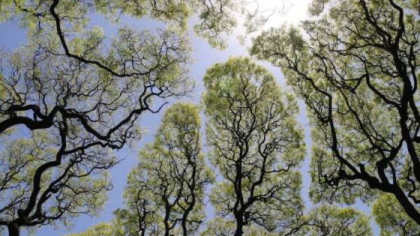 Tijd om de dag af te sluiten met een heerlijke dosis perfectie