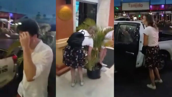 Nederlandse stelletje in Suriname opgepakt voor het stelen van een plant