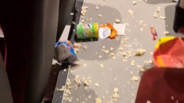 Chaos: Minecraft-film wordt kinderhel door 'asociale koters' die enorme puinzooi in de bioscoop achterlaten