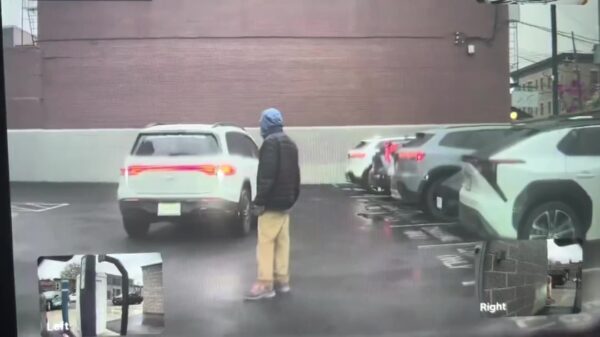 Gast probeert parkeerplek te claimen en krijgt rechtvaardige pets op z’n porem