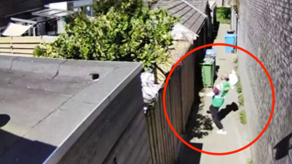 Bezorger van de maand slingert het pakketje keurig bij de buren in de tuin