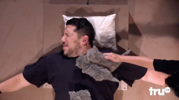 De Amerikaanse foute vrienden laten hun verliezer zijn kattenangst overwinnen