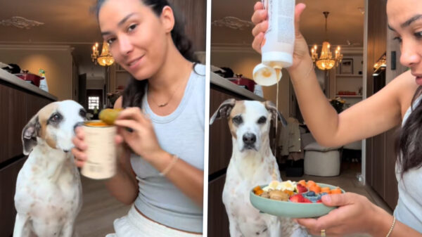 Moïse Trustfull maakt 'snackbakjes' voor hond Wim: "Eet beter dan gemiddelde Nederlander"