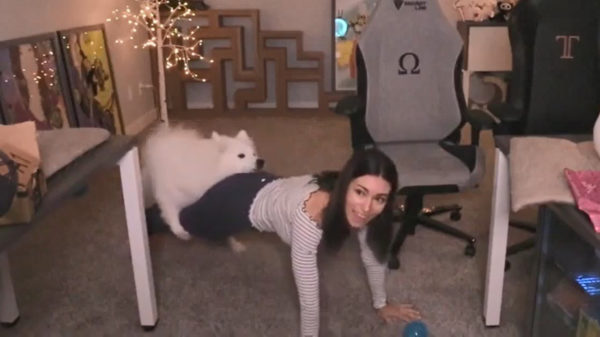 Twitchbabe Alinity Divine kan het soms iets té goed vinden met haar speurhond