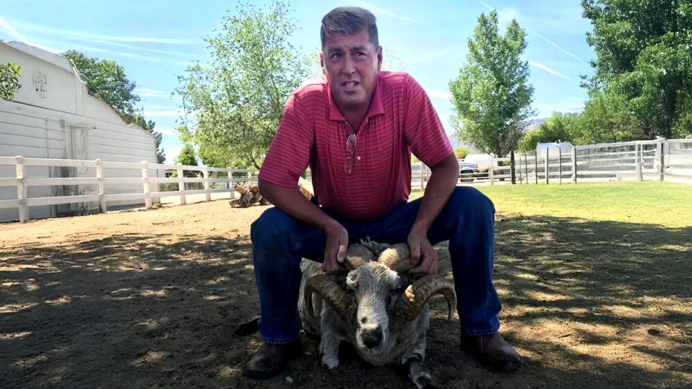 Dierenarts mishandelt paard in virale video en wordt week erna dood aangetroffen in meer